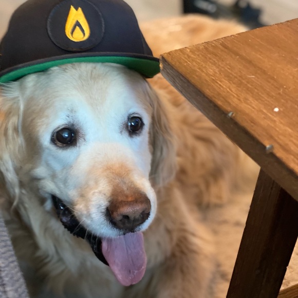 Meet your Posher, Nick - Picture 1 of 1